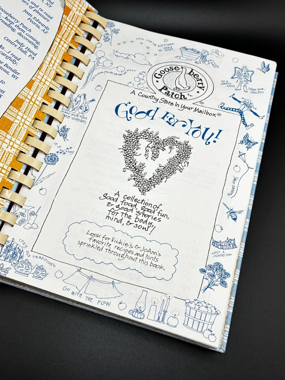 1996 Good For You! Cookbook — Light Blue Illustrated Cover
